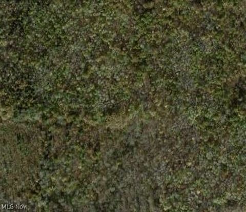 Vacant Land For Sale - Lewis Road<br/> Pierpont, OH 44082