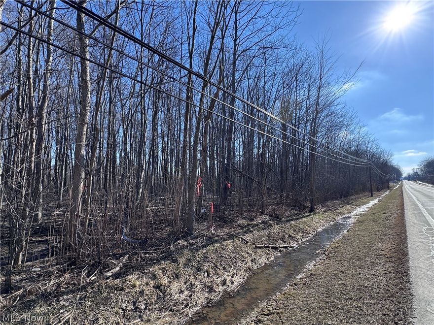 You don't want to miss this rare opportunity if you have been searching for a wooded building lot! Nestled in the heart of downtown Leroy, these fully wooded lots offer an ideal setting for your dream home. The property sits adjacent to Leroy Township Park and the ball fields, in close proximity to Capps Pizza and Leroy Country Store, and only minutes from I-90.
Bring your builder and start planning your build for this spring. The seller has already completed the soil tests.  Additional lots are also available.