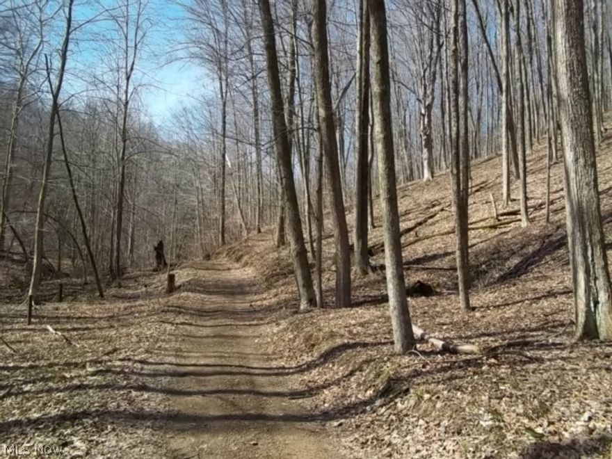 Enjoy the rolling hills of the Walhonding valley on your own 48 + acre tract that has a lot to offer. Enjoy some of the best Turkey and and deer hunting in Ohio adjacent to hundreds of acres of public hunting and camping. This property has multiple access trails for your ATV riding and scouting those big bucks. There is a 16x16 hunting cabin on the property that has bunk beds, propane heat, and a brick outdoor toilet. There are 2 producing oil wells that provide a small income and all rights owned by the sellers will transfer with the property. There is some mature hardwoods on the property and within aprox 5 years could be ready for a timber harvest. There is approximately 300 yards of river frontage with room for a camper on the Mohican River just in case you love to fish or canoe. This is truly an outdoorsmans dream. There is an annual 12.00 Muskingum Watershed assessment.