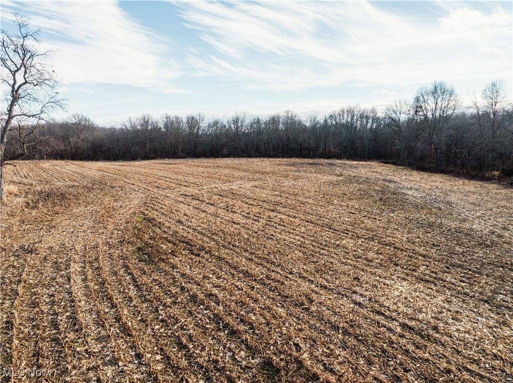 Photo of Eddleblute Road, Frazeysburg, OH 43822 (MLS # 5177258)