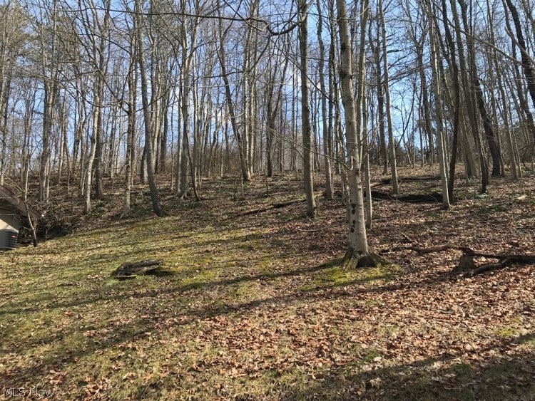 Edgewater Park - Residential