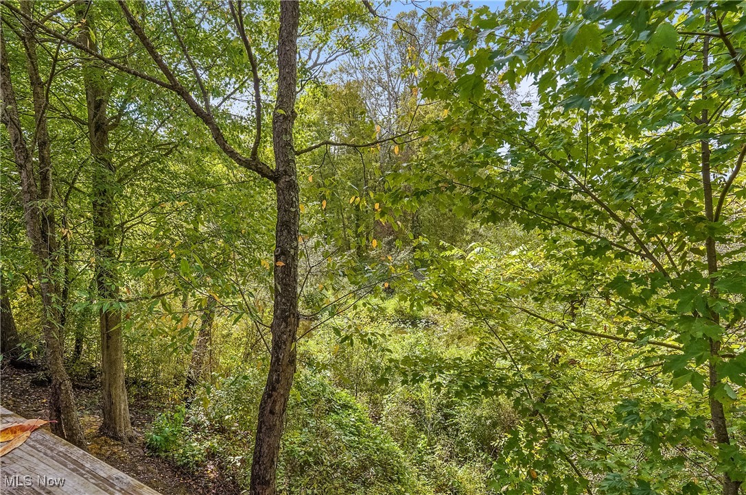 Creekside/Pleasant Lks Condo P - Residential