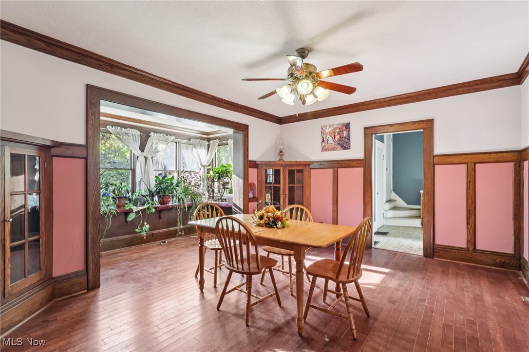 Ely Allotment - Residential