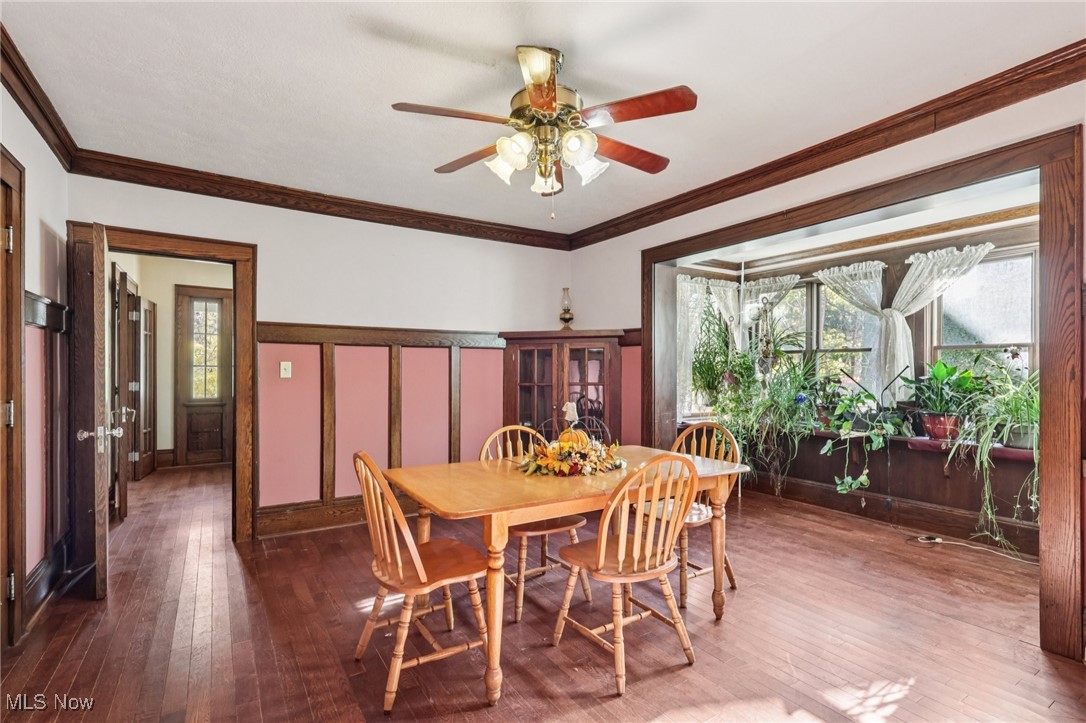 Ely Allotment - Residential