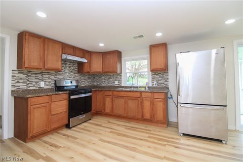 Tiny photo for 43 Washington Street, East Palestine, OH 44413 (MLS # 5201689)