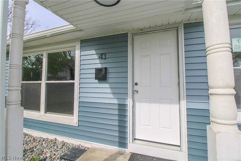 Tiny photo for 43 Washington Street, East Palestine, OH 44413 (MLS # 5201689)