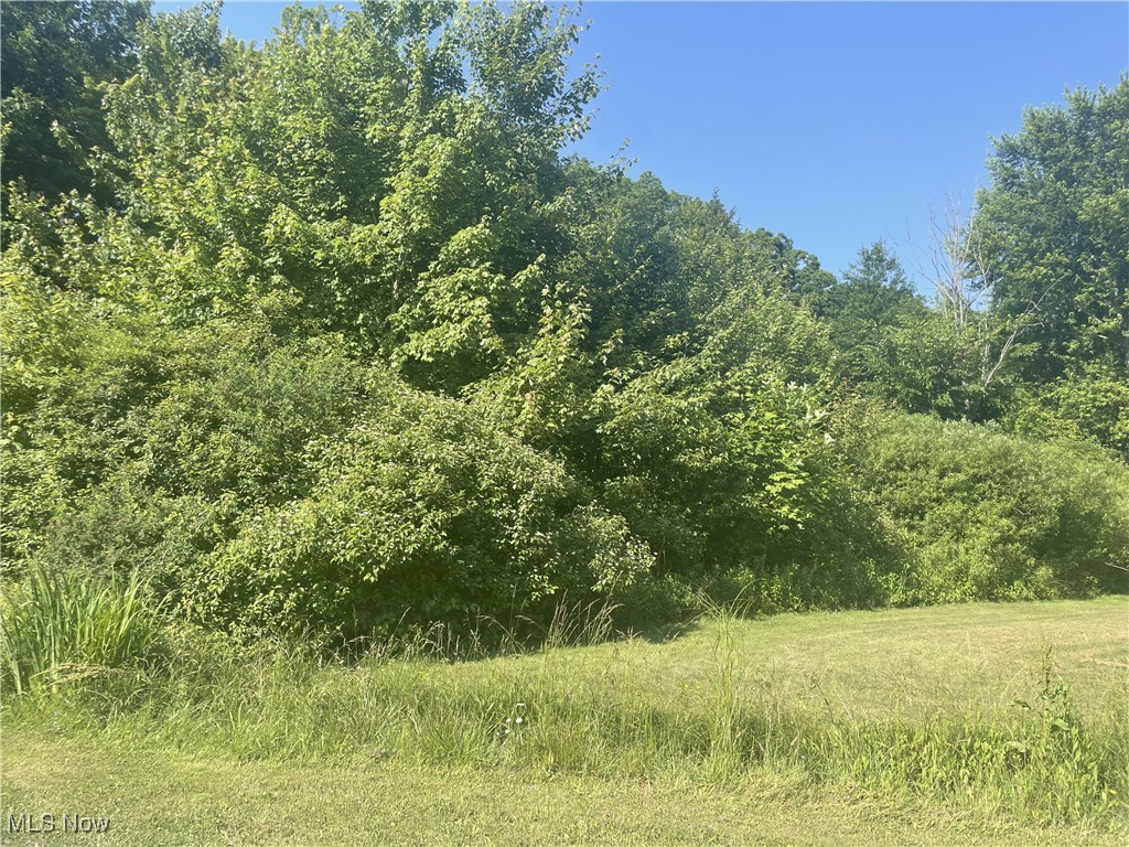 Build Your Dream Home! Whether you're planning your forever home or an investment property, this parcel offers endless potential. Conveniently located near Pymatuning State Park and Pymatuning Reservoir. Bring your vision and make it yours!