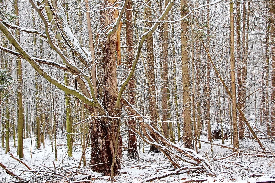 Dover West - Residential