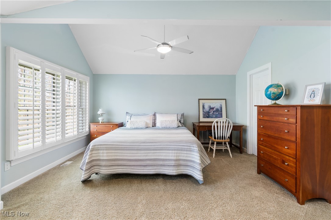 106 Champion Lane, Chagrin Falls, Ohio image 38