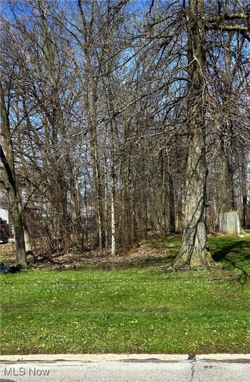 Drake Street, North Ridgeville, Ohio image 2