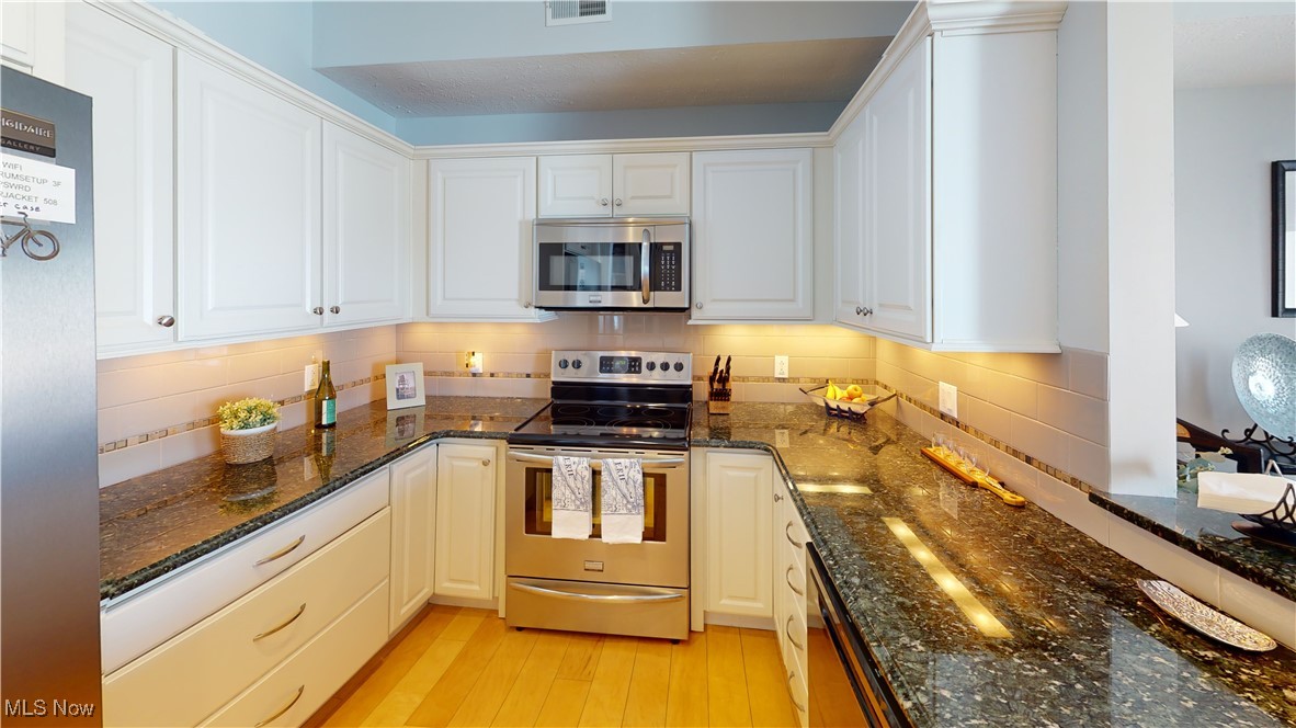 Lake Erie Vista Condo - Residential