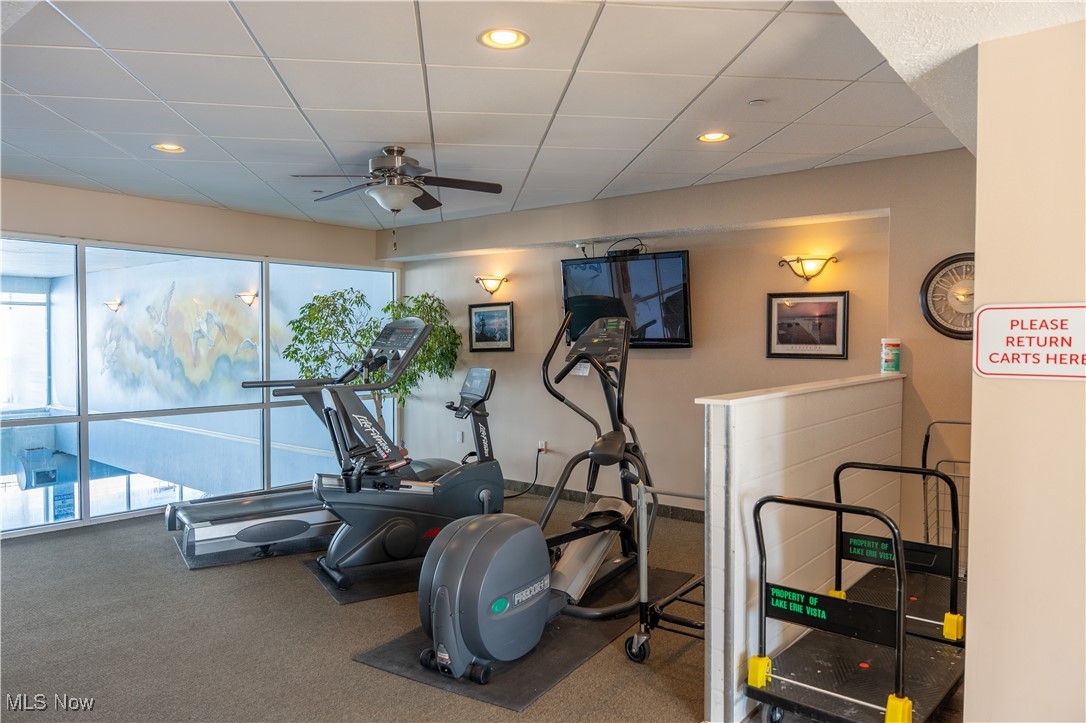 Lake Erie Vista Condo - Residential