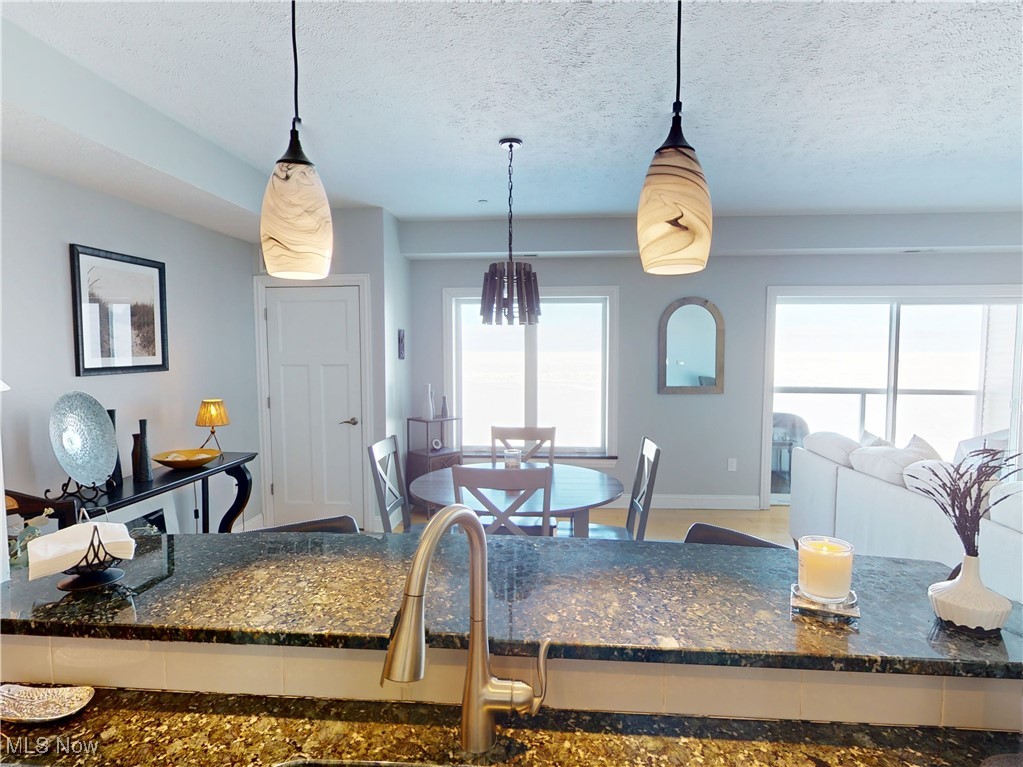 Lake Erie Vista Condo - Residential