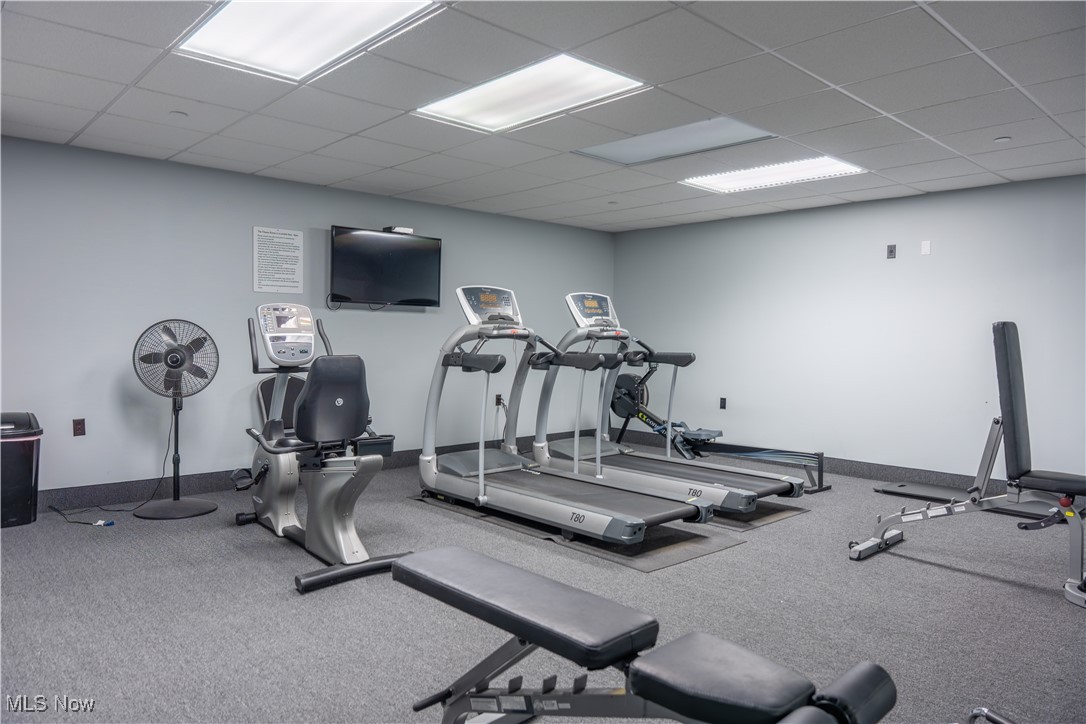 Lake Erie Vista Condo - Residential