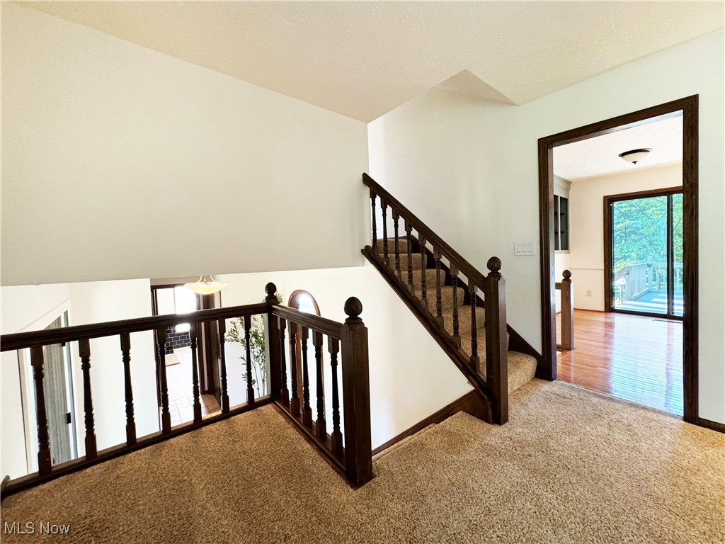 Shorelands - Residential