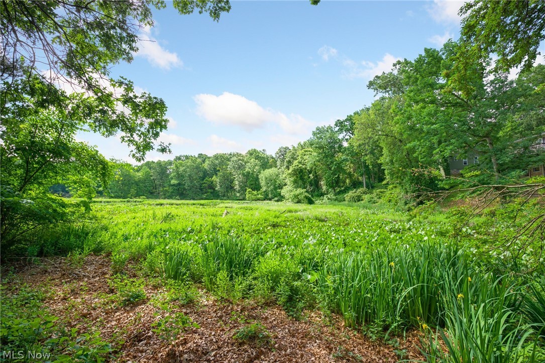 Shorelands Allotment - Residential