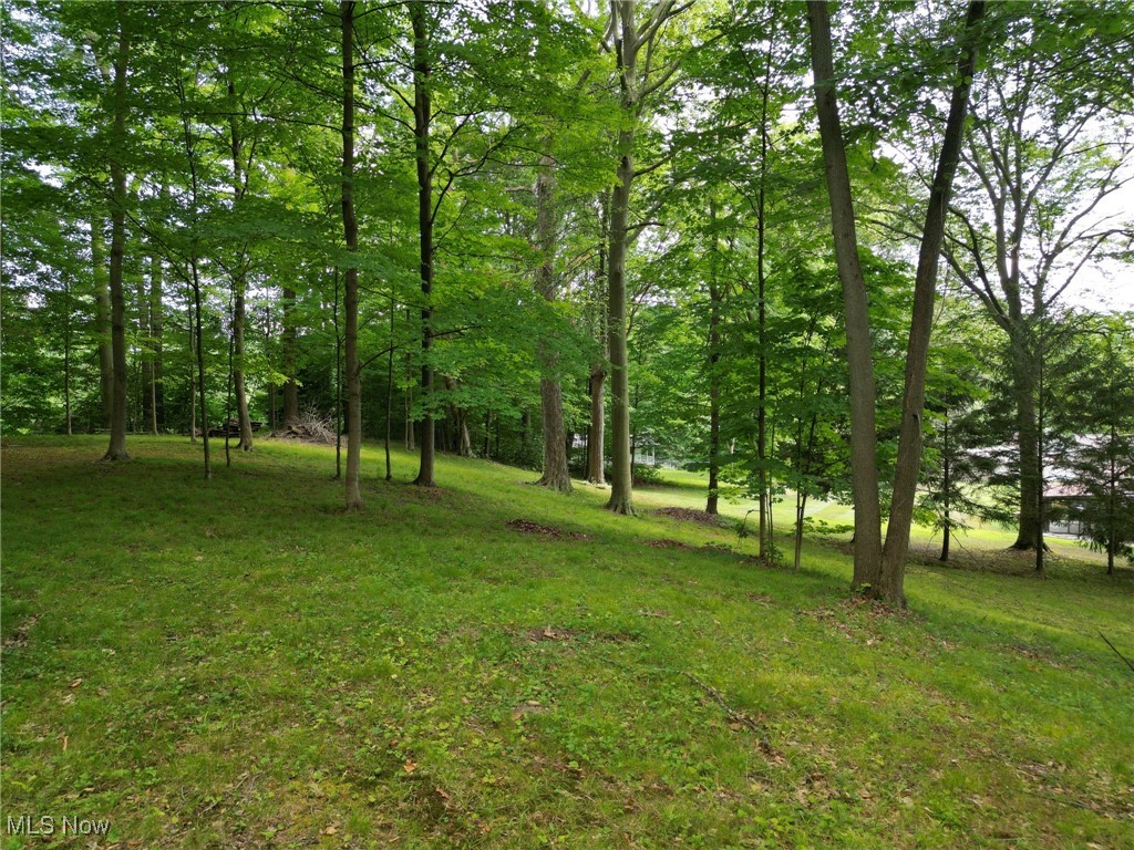 Springfield 07 - Residential