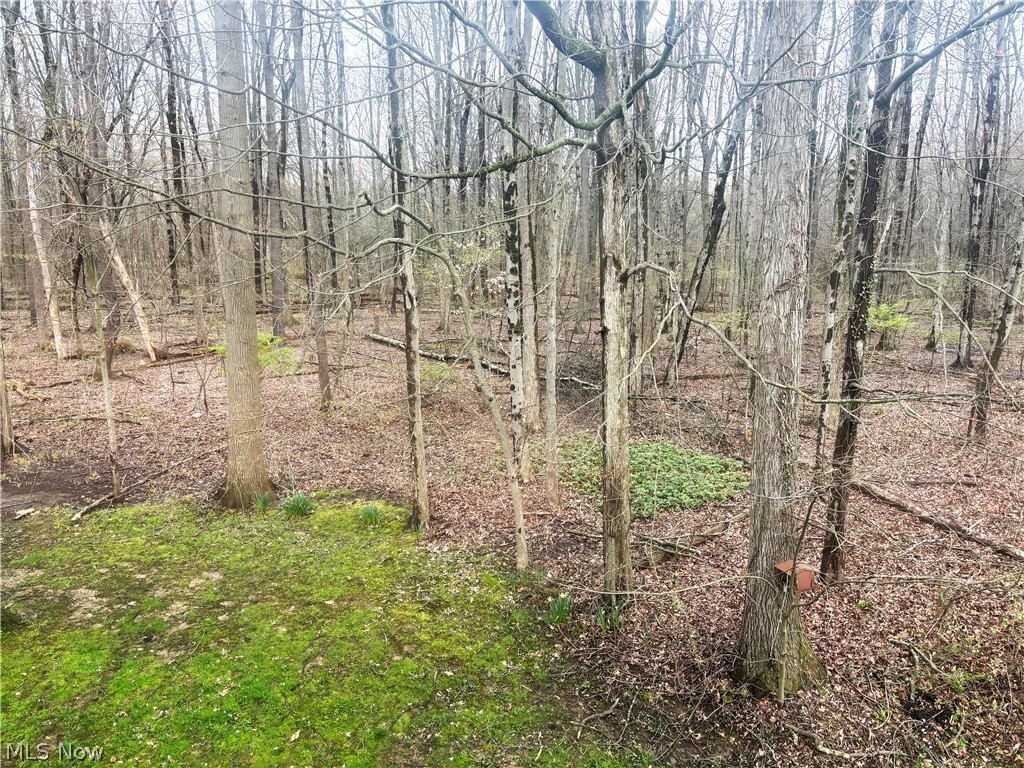 Woodland Lake - Residential