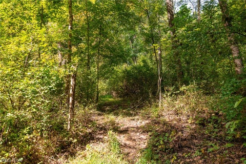 Tiny photo for 27339 Tabor Ridge Road #4, Caldwell, OH 43724 (MLS # 5245512)