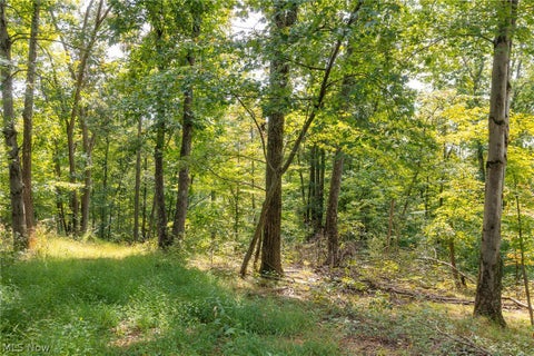 Tiny photo for 27339 Tabor Ridge Road #4, Caldwell, OH 43724 (MLS # 5245512)