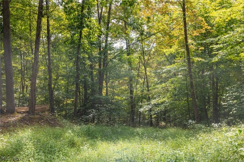 Tiny photo for 27339 Tabor Ridge Road #4, Caldwell, OH 43724 (MLS # 5245512)
