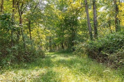 Tiny photo for 27339 Tabor Ridge Road #4, Caldwell, OH 43724 (MLS # 5245512)