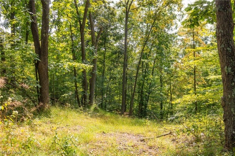 Tiny photo for 27339 Tabor Ridge Road #4, Caldwell, OH 43724 (MLS # 5245512)