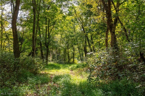 Tiny photo for 27339 Tabor Ridge Road #4, Caldwell, OH 43724 (MLS # 5245512)