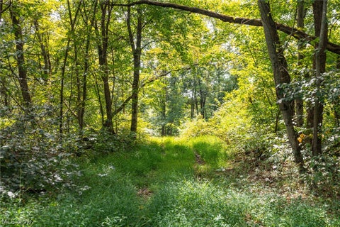 Tiny photo for 27339 Tabor Ridge Road #4, Caldwell, OH 43724 (MLS # 5245512)