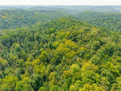 Tiny photo for 27339 Tabor Ridge Road #4, Caldwell, OH 43724 (MLS # 5245512)