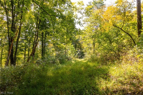 Tiny photo for 27339 Tabor Ridge Road #4, Caldwell, OH 43724 (MLS # 5245512)