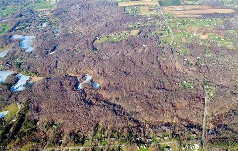 Vacant Land For Sale - Auburn Road<br/> Newbury, OH 44065