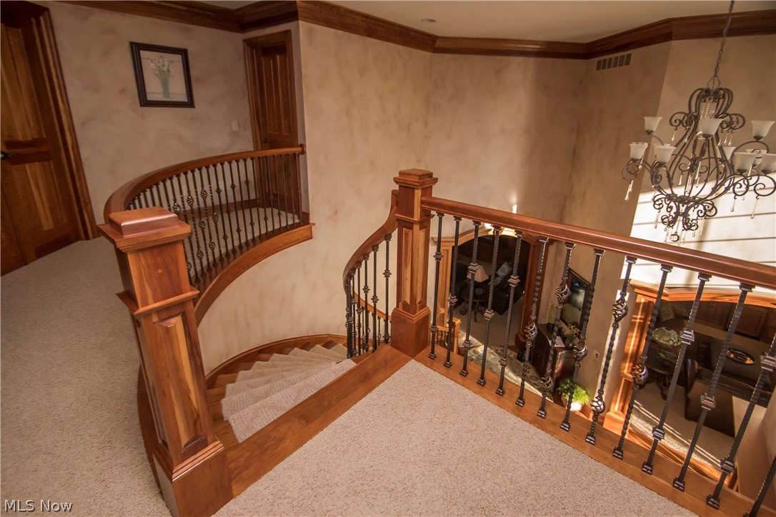 Carrington Ph 04 Allotment - Residential