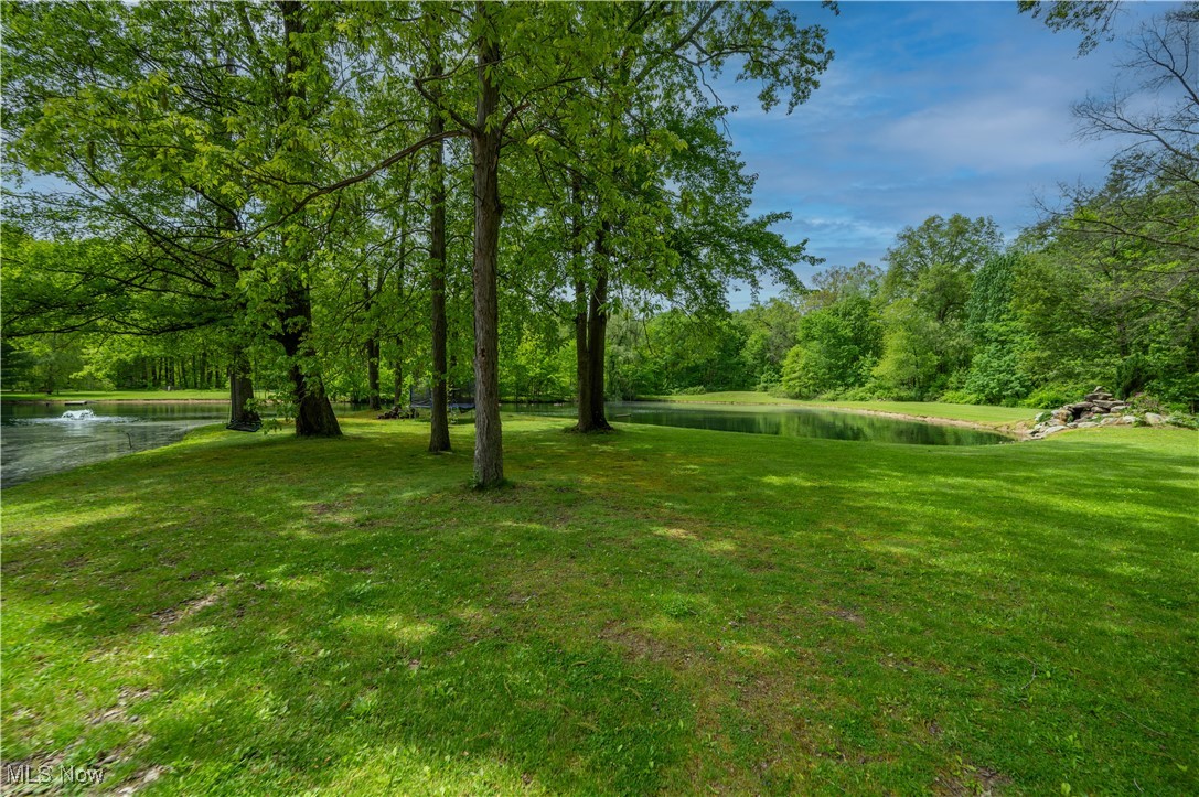 14861 Robinson Road, Lake Milton, Ohio image 46