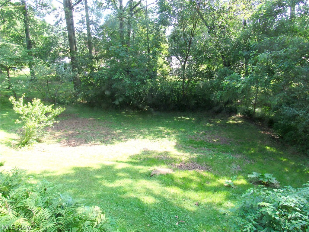 Shadybrook Allotment - Residential