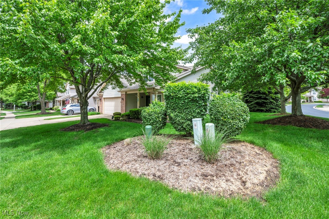 6811 Meadow Lane