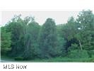 176 Highland Mist Circle, Hinckley, Ohio image 25