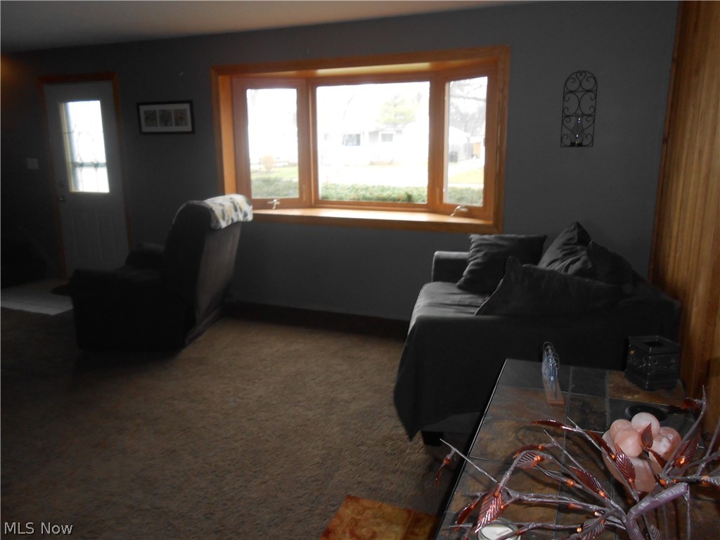 Willowick Park Allotment - Residential