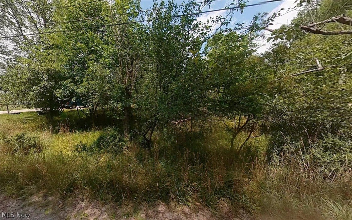 715 Wolf Drive