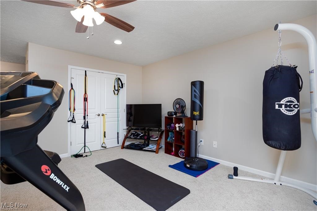 5428 Daintree Lane, Medina, Ohio image 27