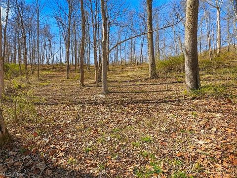 Tiny photo for 0 Upper Twin Road, South Salem, OH 45681 (MLS # 5203484)