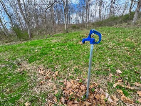 Tiny photo for 0 Upper Twin Road, South Salem, OH 45681 (MLS # 5203484)