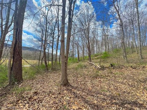 Tiny photo for 0 Upper Twin Road, South Salem, OH 45681 (MLS # 5203484)