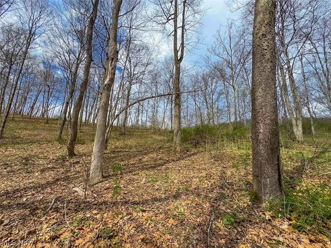 Tiny photo for 0 Upper Twin Road, South Salem, OH 45681 (MLS # 5203484)