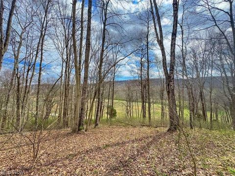 Tiny photo for 0 Upper Twin Road, South Salem, OH 45681 (MLS # 5203484)