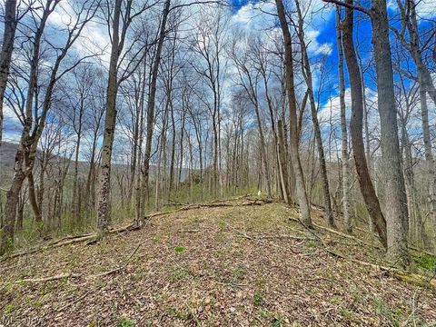 Tiny photo for 0 Upper Twin Road, South Salem, OH 45681 (MLS # 5203484)