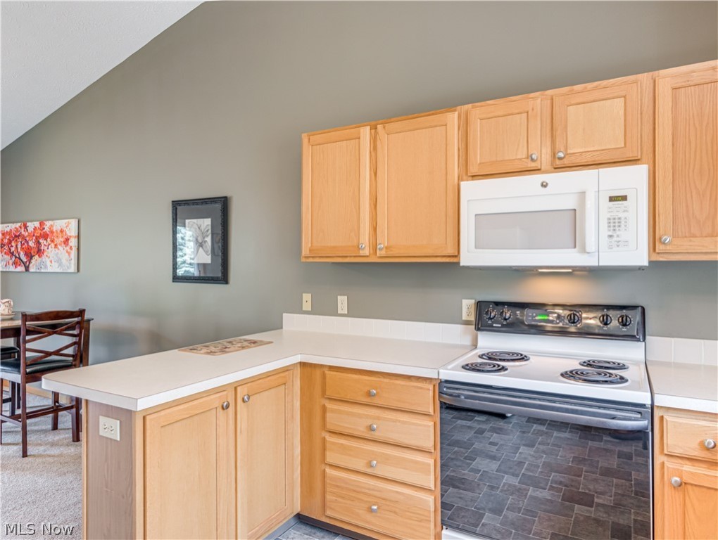 River Rdg Condo - Residential