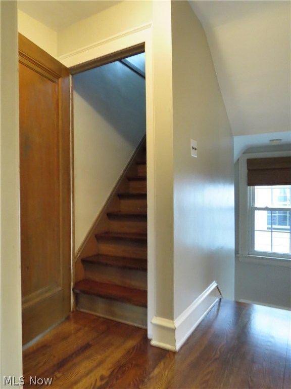 Transit Park & Allotment - Residential