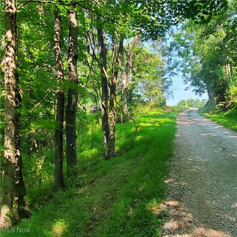 County Rt 22