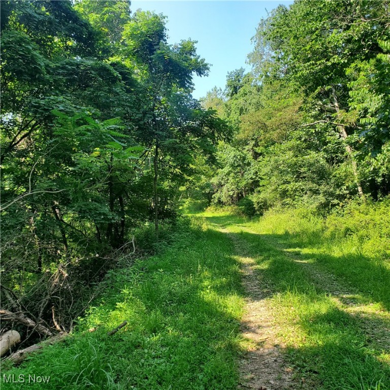 County Rt 22